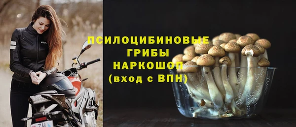 крисы Медногорск