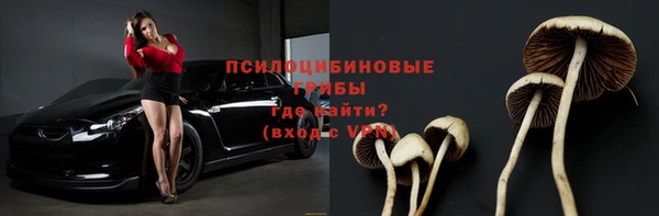твердый Медвежьегорск