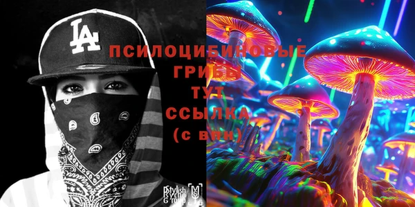 крисы Медногорск