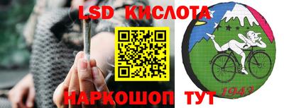 амф Донской