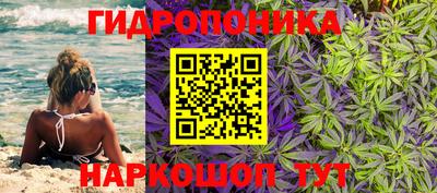 амф Донской