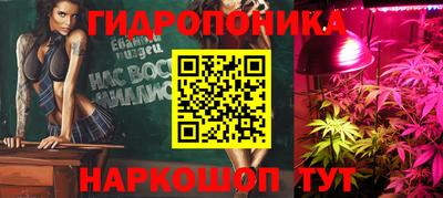 мет Дубна