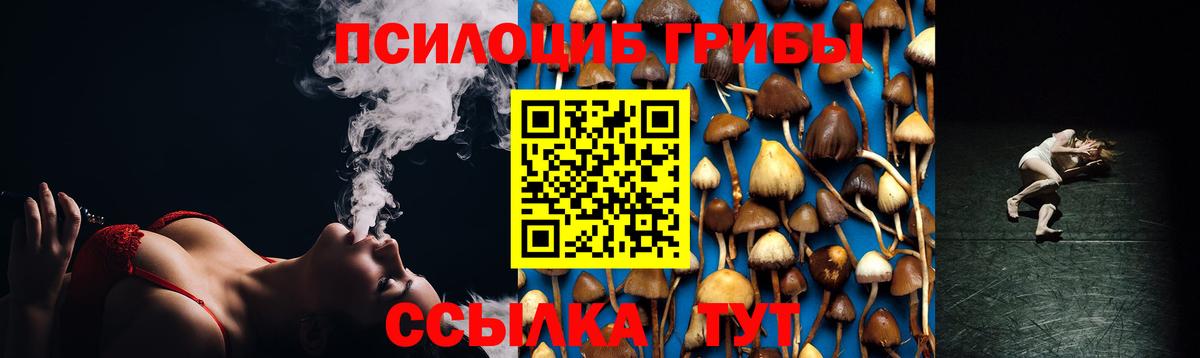 Псилоцибиновые грибы Cubensis Ковров